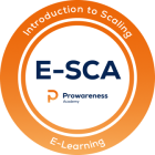 E-learning Introduction to Scaling - Prowareness